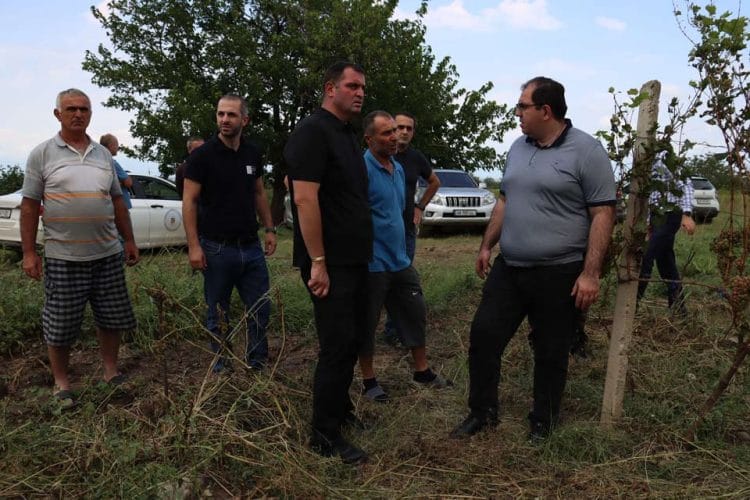 გარემოს დაცვისა და სოფლის მეურნეობის მინისტრის მოადგილე – დაზღვეულ ვენახებს რისკი საგრძნობლად აქვთ შემცირებული, რადგან გარანტირებული აქვთ ხარჯების ანაზღაურება