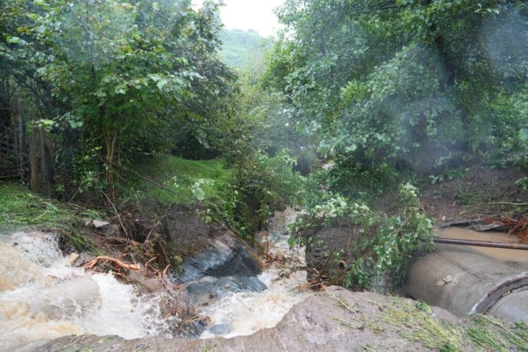 გურიაში, სტიქიის ზონაში გეოლოგებისა და ჰიდროლოგების ჯგუფი მუშაობს