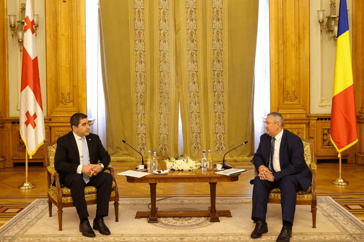 შალვა პაპუაშვილი რუმინეთის სენატის პრეზიდენტს შეხვდა