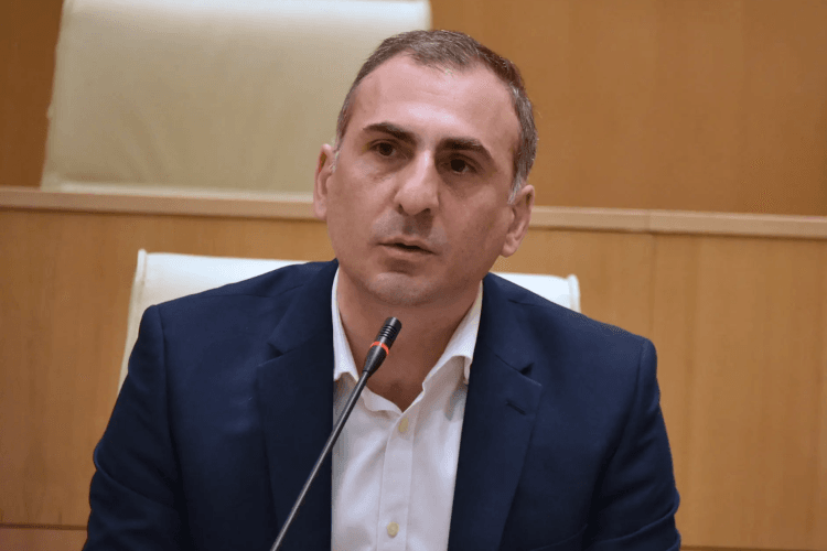 ალეკო ელისაშვილი – სალომე ზურაბიშვილი არ გამორიცხავს, რომ „ქართულმა ოცნებამ“ შესაძლოა, იმპიჩმენტისთვის საჭირო ხმები მოაგროვოს