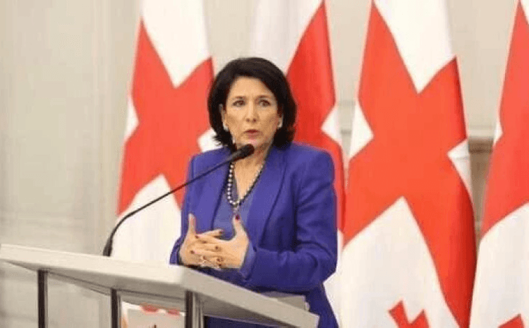 დავით მარტიაშვილი : მადლობა უფალს, რომ ამ ქაჯ ქალს მეტი უფლებები არ აქვს, თორემ ქვეყანას სისხლში ჩაახრჩობდა ეგ შემოგდებული სალახანა ეგა!