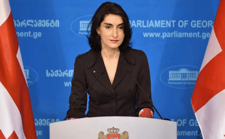 მაკა ბოჭორიშვილი – რთული სათქმელია, რა გადაწყვეტილებას მიიღებს ევროკავშირი – ევროკავშირის ყველა ქვეყანა საკუთარი პოლიტიკური მოსაზრებებით იღებს გადაწყვეტილებას