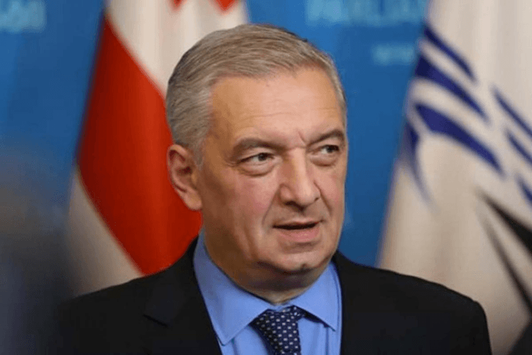 გია ვოლსკი : კეზერაშვილმა გადაწყვიტა, რომ ხაბეიშვილის ფრთის ინტელექტუალური დონე აამაღლოს და ამისთვის მის ფლანგზე გიორგი ვაშაძე შეიყვანა, რომელსაც არჩევნები წაგებული აქვს ნიგერიის მოქალაქესთან