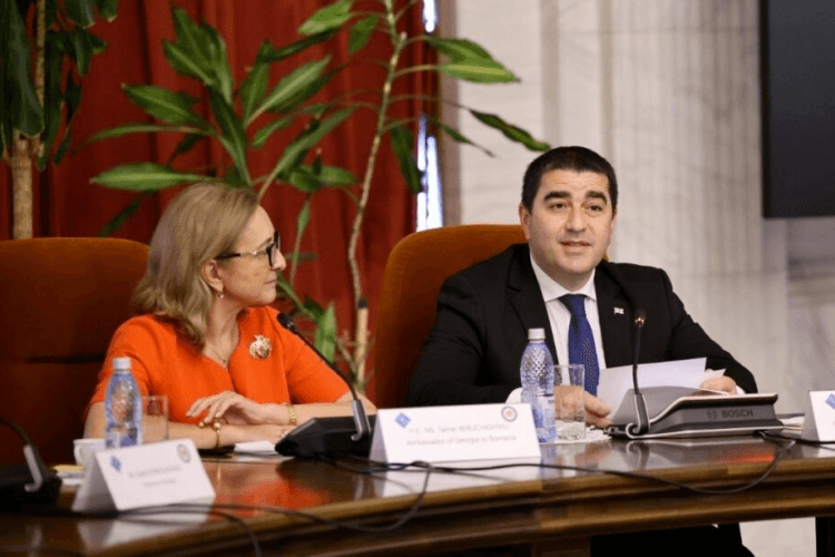 შალვა პაპუაშვილი – იმედი მაქვს, შემდეგ ათწლეულში ევროკავშირისა და ნატო-ს საოცნებო ქოლგა საქართველოს ცაზე გაიშლება