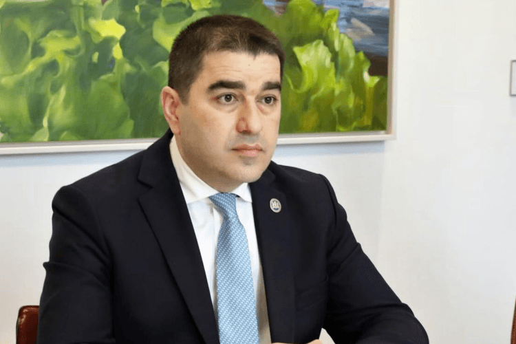 შალვა პაპუაშვილი – შეცდომა აღარ უნდა განმეორდეს, სტატუსზე გადაწყვეტილება არის გზავნილი, რა დამოკიდებულება აქვს ევროკავშირს ქართველი ხალხის ბრძოლისადმი