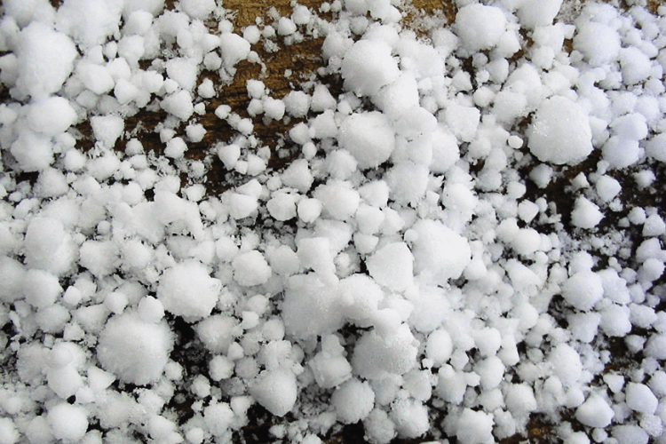 პრემიერის გადაწყვეტილებით, კახეთში სტიქიის შედეგად დაზარალებულ მოსახლეობას სახელმწიფო დაეხმარება