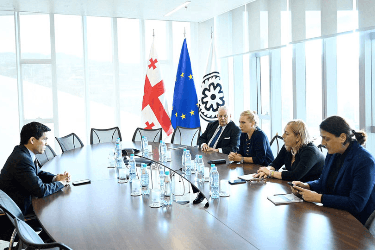 ნათია თურნავა საქართველოში საერთაშორისო სავალუტო ფონდის მისიის მუდმივ წარმომადგენელს შეხვდა