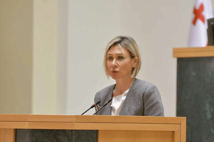 ნინო წილოსანი : სწორედ ეს აქცენტები გვჭირდება, რომ ევროპის ოჯახის ღირსეული წევრი გავხდეთ