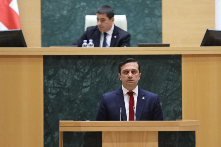 ლევან იოსელიანმა პარლამენტში ადამიანის უფლებათა და თავისუფლებათა დაცვის მდგომარეობის შესახებ 2022 წლის ანგარიში წარადგინა