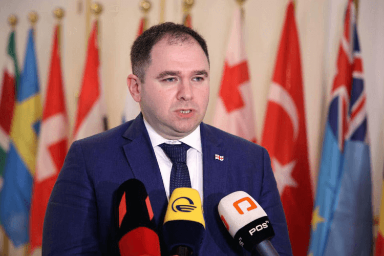 ნიკოლოზ სამხარაძე – პრეზიდენტი თუ პარიზში მთავრობის თანხმობის გარეშე მიდის, ეს კონსტიტუციის დარღვევის რეციდივია