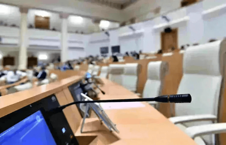 2025 წლის პირველ აპრილამდე შესაძლებელი იქნება იმ თამბაქოს ნაწარმის რეალიზება, რომელიც მოქმედი კანონმდებლობის შესაბამისად, საქართველოს ბაზარზე 2024 წლის 31 ივლისამდე იყო განთავსებული