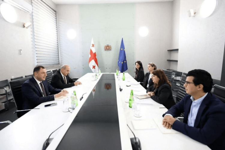 გიორგი ამილახვარმა აზიის განვითარების ბანკის წარმომადგენელთან სამომავლო თანამშრომლობის პერსპექტივები განიხილა