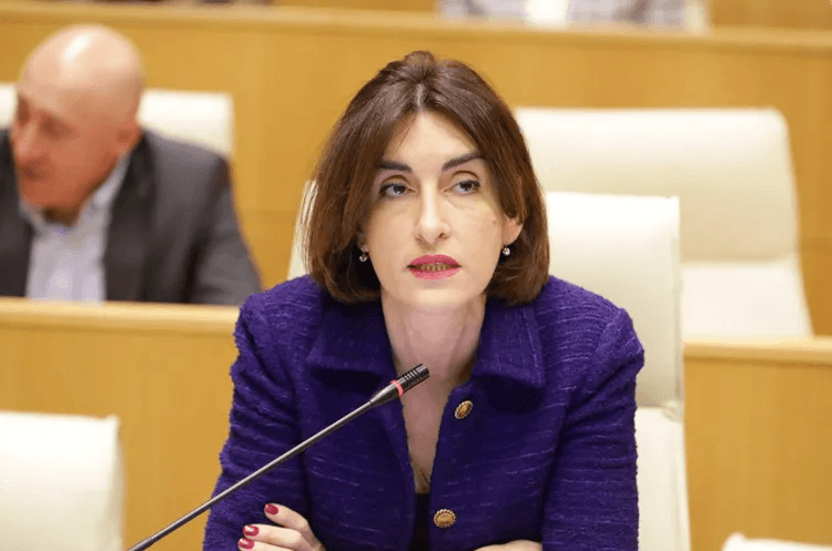 მაკა ბოჭორიშვილი – ამერიკის შეერთებული შტატების მხრიდან ერთ დღეში არაფერი შეცვლილა, არც მოწვევის გამოგზავნა და არც მოწვევის გაწვევა, ასეთი ნაბიჯები სტრატეგიულ პარტნიორობას არ ეხმარება