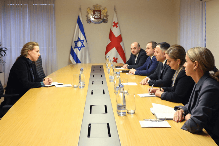 ვახტანგ გომელაური საქართველოში ისრაელის ელჩს, ჰადას მეიცადს შეხვდა
