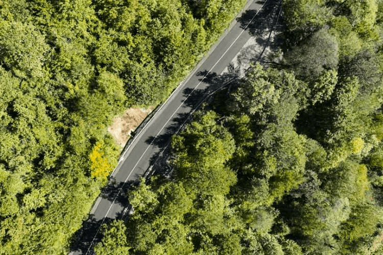 საავტომობილო გზების დეპარტამენტი – ტყიბული-ამბროლაურის დამაკავშირებელი გზის რეაბილიტაცია აქტიურად მიმდინარეობს