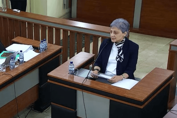 მაია კოპალეიშვილი – საქართველოს პრეზიდენტი არის სახელმწიფოს მეთაური, ეს მისი სტატუსია და მას რომ ეს უფლებამოსილებები აქვს, რაც კონსტიტუციაშია, სწორედ მისი სტატუსიდან გამომდინარეა