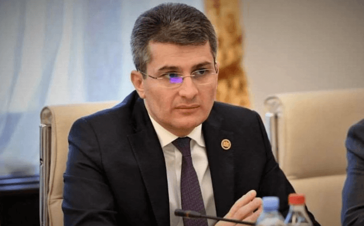 მამუკა მდინარაძე – პრემიერის ინიციატივაზე კრიტიკამაც არ დააყოვნა, სხვა მთავრობის დაფინანსებულები არიან და არა საკუთარი ქვეყნის, ამიტომ რა პრობლემააო, მაშინ არასამთავრობო რატომ, გარესამთავრობო ორგანიზაციები დავარქვათ