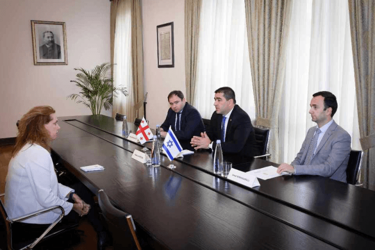 შალვა პაპუაშვილი საქართველოში ისრაელის ელჩს, ჰადას მეიცადს შეხვდა