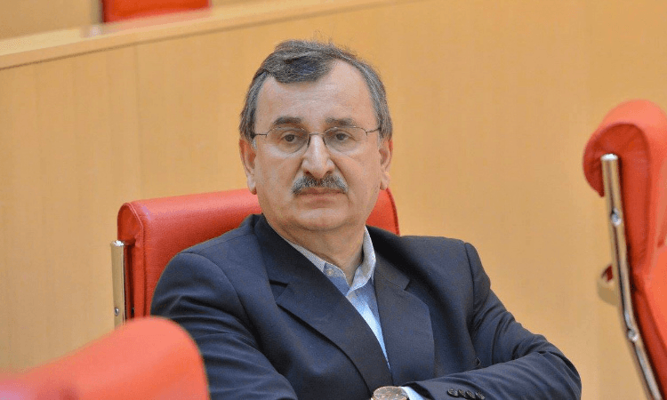 რომან გოცირიძე ირაკლი ღარიბაშვილს მეცნიერებათა ეროვნულ აკადემიასთან დაკავშირებით სადეპუტატო კითხვით მიმართავს