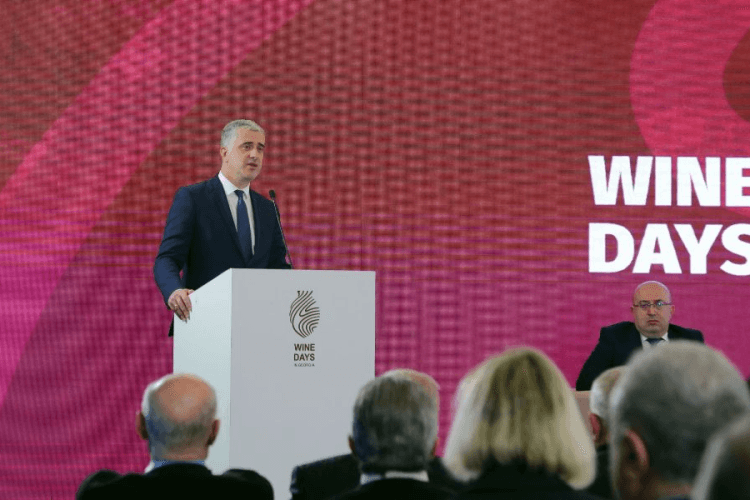 „ღვინის დღეების“ ფარგლებში, თბილისში საერთაშორისო სამეცნიერო კონფერენცია გაიხსნა