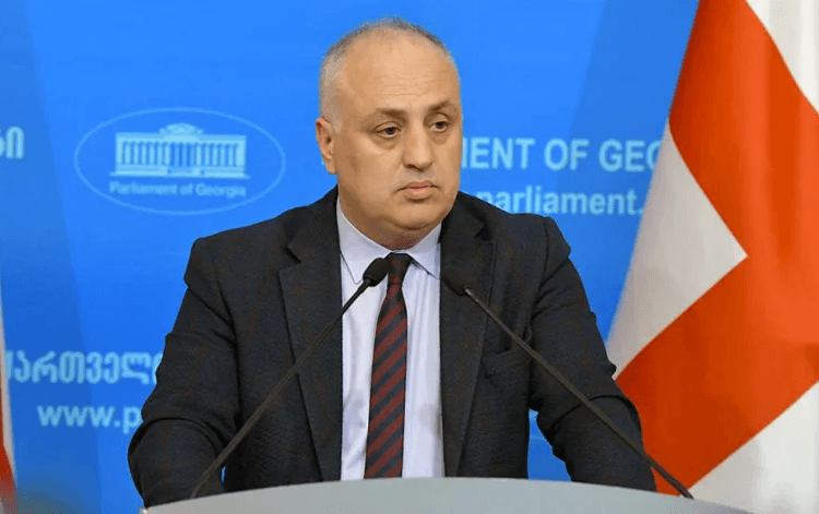 დიმიტრი ხუნდაძე – ვითომ ევროპული გზისკენ, სინამდვილეში კი, ანტიევროპული გზისკენ მიმავალი ოპოზიცია ახალი ლიდერით, სალომე ზურაბიშვილით ხალხს ვერ მოატყუებს