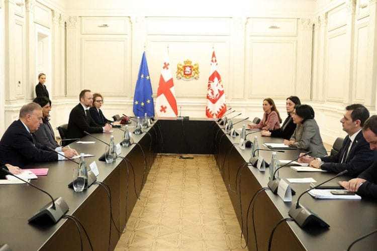 სალომე ზურაბიშვილი ევროპის საბჭოს ვენეციის კომისიის დელეგაციას შეხვდა