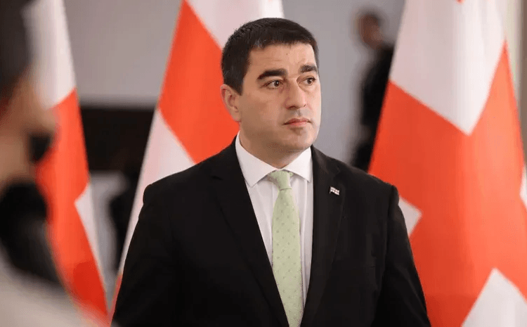 შალვა პაპუაშვილი – მივმართავ ბრიტანეთის საელჩოს, გაასაჯაროოს, ვის და რა თანხით აფინანსებდა 2024 წლის საპარლამენტო არჩევნებთან დაკავშირებით და ვის და რა თანხით აფინანსებს დღეს