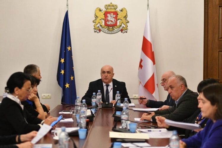 ჯანდაცვის კომიტეტმა მესამე მოსმენით მხარი დაუჭირა ცვლილებებს, რომლის მიხედვითაც, სახელმწიფო მედიკამენტების შეძენას მნიშვნელოვნად დაბალ ფასად, პირდაპირი მოლაპარაკების გზით შეძლებს