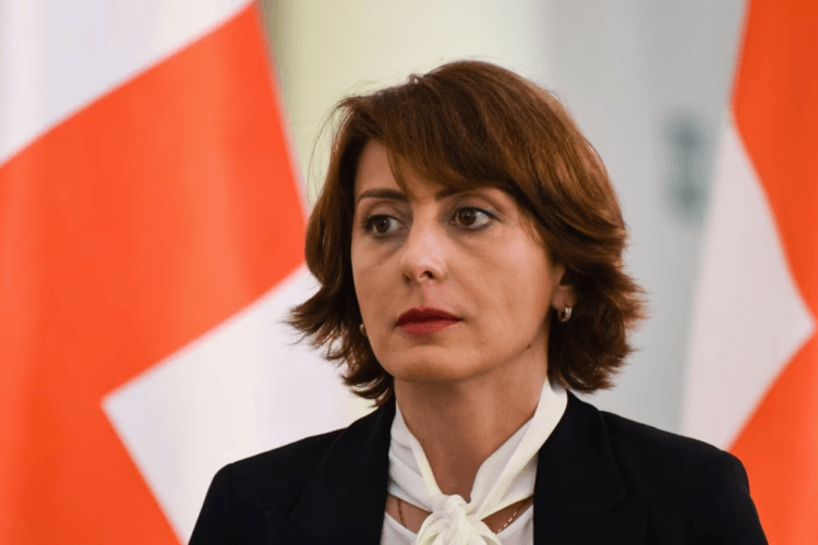 ხატია დეკანოიძე – სამოქმედო გეგმა ზედაპირული, ძალიან ზერელე და ფასადურია, მასში ჩადებული არ არის რეკომენდაციების შესრულების აუცილებელი მექანიზმები