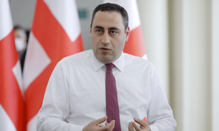 გიორგი ვაშაძე – საქართველოს ინტერესების დაცვა არის ჩემი განცხადებები და, რაც დელეგაციის ოპოზიციის წევრებმა გააკეთეს, მოვითხოვეთ ევროპული ინვესტიციები, სამუშაო ადგილები