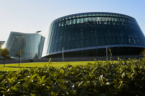 პოლიციამ ჯგუფური ძალადობის ორგანიზებისა და მასში მონაწილეობის ბრალდებით სამი პირი დააკავა