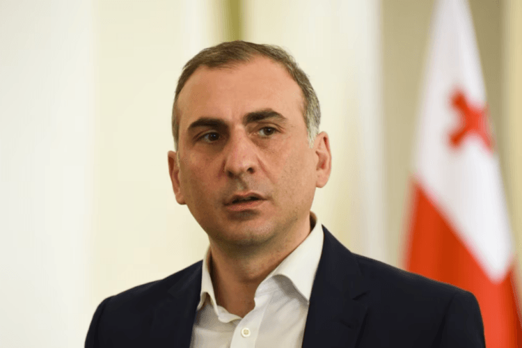 ალეკო ელისაშვილი – პრეზიდენტთან შეხვედრაზე ყველა ქალი იყო, მარტო მე ვიჯექი კაცი, ტორტის მარწყვივით