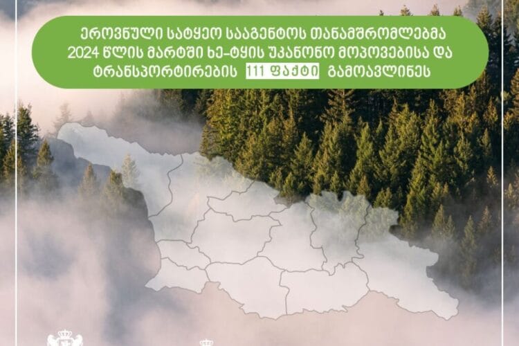 ეროვნული სატყეო სააგენტოს თანამშრომლებმა მიმდინარე წლის მარტში ხე-ტყის უკანონო მოპოვებისა და ტრანსპორტირების 111 ფაქტი გამოავლინეს