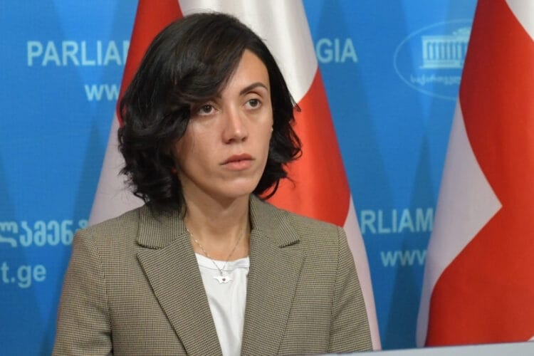 ანა წითლიძე – საქართველოს მოქალაქეები ბოლომდე ვიბრძოლებთ საქართველოს ევროპული მომავლისთვის, არ დავიღლებით, ვიდრე საქართველო არ გაიმარჯვებს