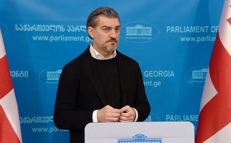 მიხეილ ყაველაშვილი – სამივე მოსმენით შესაძლებლობა იყო, საზოგადოებისთვის ის მიზეზები გაგვეცნო, რატომ ვიღებთ კანონს, მგონი, ყველაფერი ნათელია