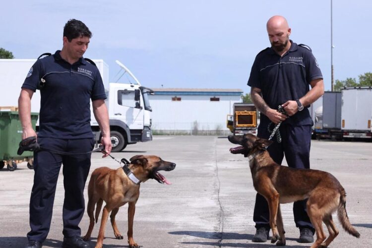 საბაჟო დეპარტამენტის კინოლოგიის ცენტრს სამსახურებრივი ძაღლები შეემატნენ