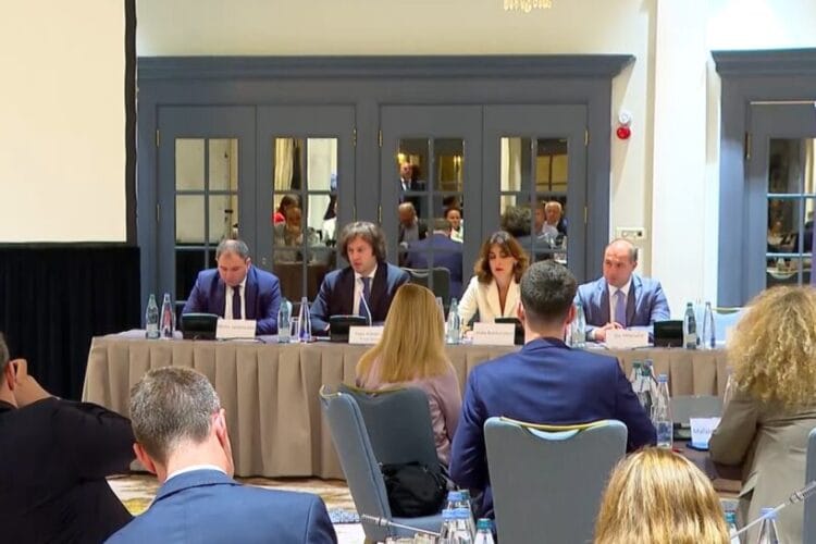 ირაკლი კობახიძე IRI-ის გრძელვადიან სადამკვირვებლო მისიას შეხვდა