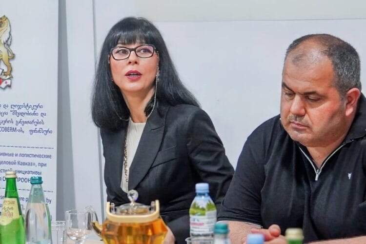 თეა ახვლედიანი – ოკუპირებული რეგიონებიდან გადმოსულ მოსახლეობას შესაძლებლობა აქვს, ჩაერთოს ჯანდაცვის პროგრამებში და მიიღოს საჭიროებებსა და ინტერესებზე მორგებული მაღალკვალიფიციური სერვისი