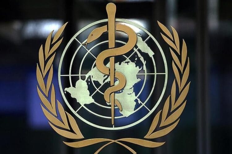 ჯანდაცვის მსოფლიო ორგანიზაციაში აცხადებენ, რომ ისრაელი დათანხმდა შეზღუდულ „ჰუმანიტარულ პაუზებს“, რათა ღაზის სექტორში 640 000 ბავშვს პოლიომიელიტის საწინააღმდეგო ვაქცინაცია ჩაუტარდეს