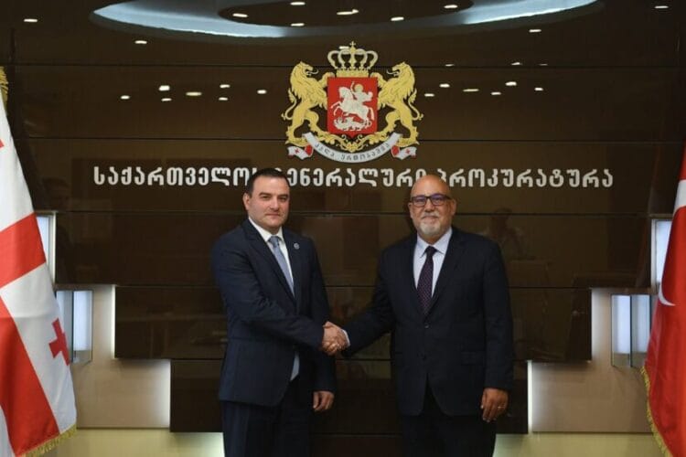 გიორგი გაბიტაშვილი საქართველოში თურქეთის რესპუბლიკის ელჩს შეხვდა