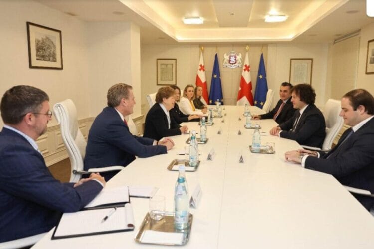 საქართველოს პრემიერ-მინისტრი სენატორ შაჰინსა და კონგრესმენ ტერნერს შეხვდა