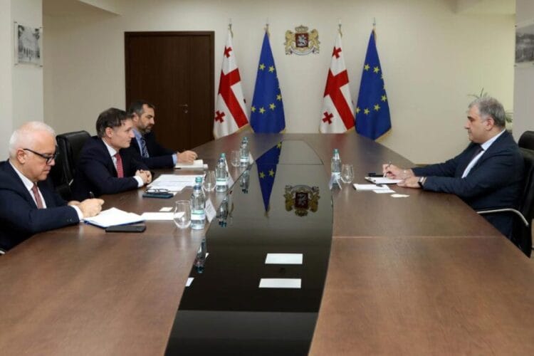 მიხეილ სარჯველაძე საქართველოში გაერო-ს მუდმივ კოორდინატორს, დიდიე ტღებიუკს შეხვდა