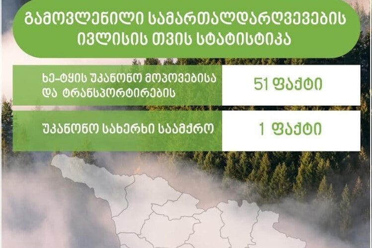 ეროვნული სატყეო სააგენტოს თანამშრომლებმა მიმდინარე წლის ივლისში ხე-ტყის უკანონო მოპოვებისა და ტრანსპორტირების 51 ფაქტი გამოავლინეს