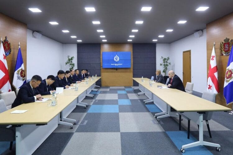 ალექსანდრე დარახველიძე ევროპის საბჭოს საპარლამენტო ასამბლეის წარმომადგენლებს შეხვდა