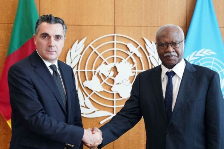 ილია დარჩიაშვილი გენერალური ასამბლეის 79-ე სესიის პრეზიდენტს, ფილემონ იანგს შეხვდა