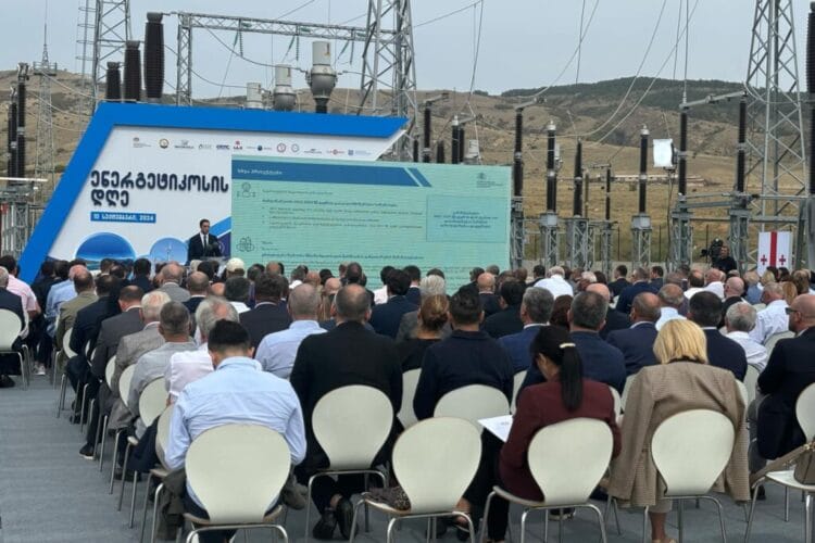 საქართველოში ენერგეტიკოსის დღისადმი მიძღვნილი ღონისძიება გაიმართა