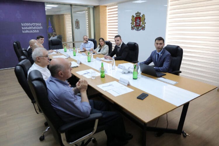 სპეციალურმა საგამოძიებო სამსახურმა პედოფილიის რეესტრისა და მონიტორინგის მექანიზმის შექმნის ინიციატივა კრიმინოლოგებს წარუდგინა