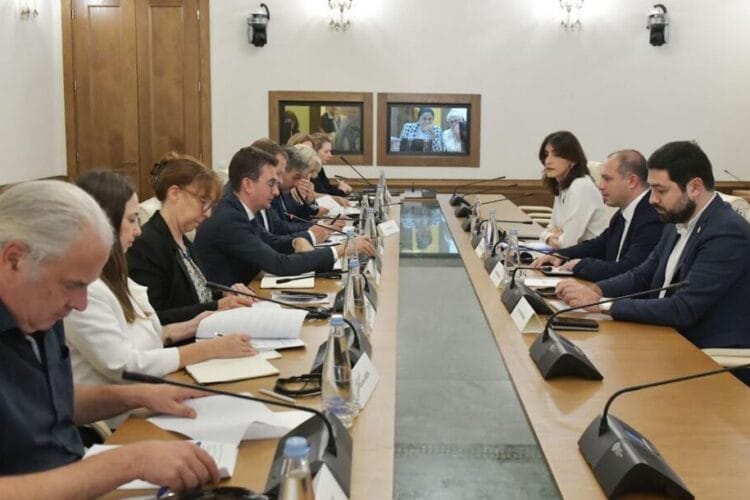 საპარლამენტო უმრავლესობის წარმომადგენლები ევროპის საბჭოს საპარლამენტო ასამბლეის წინასაარჩევნო სადამკვირვებლო მისიის წევრებს შეხვდნენ