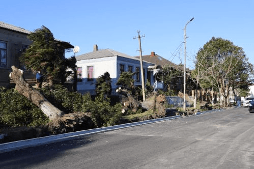 სტიქია ფოთში, ძლიერი ქარის შედეგად დაზიანებულია მრავალსართულიანი ბინებისა და კერძო სახლების სახურავები