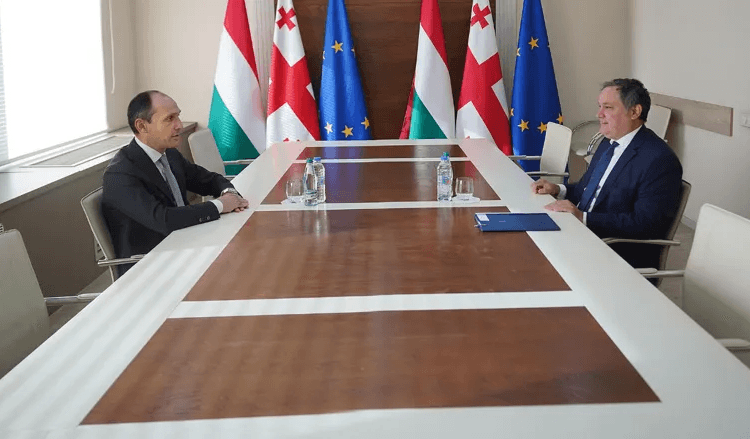 ლევან დავითაშვილმა უნგრელ კოლეგასთან ქვეყნებს შორის სავაჭრო-ეკონომიკური ურთიერთობების გაღრმავების საკითხები განიხილა